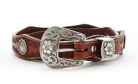 Picture for category Belts