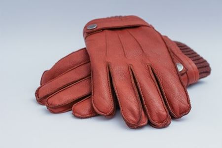 Picture for category Gloves