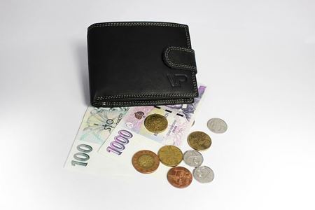 Picture for category Wallets