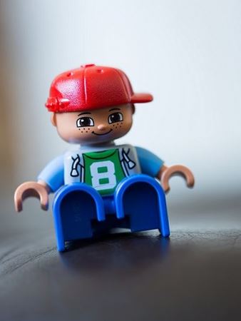 Picture for category Toys