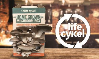 Picture of Life Cykel Coffee Mushroom Box