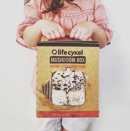 Picture for category Life Cykel Fundraiser Boxes