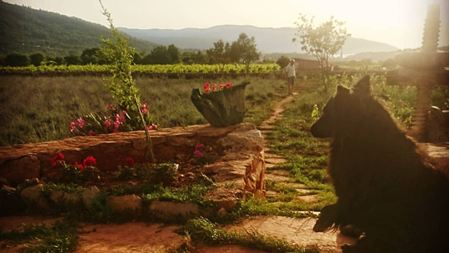 Picture for category Farm Stay