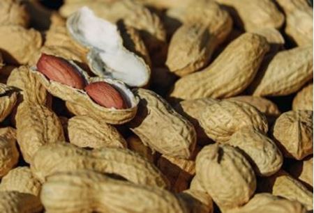 Picture for category Nuts