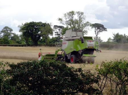 Picture for category Contractors