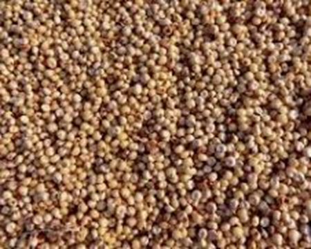 Picture for category Seeds/Grain