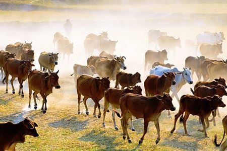 Picture for category Stock Handling