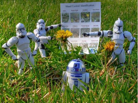 Picture for category Weed Control