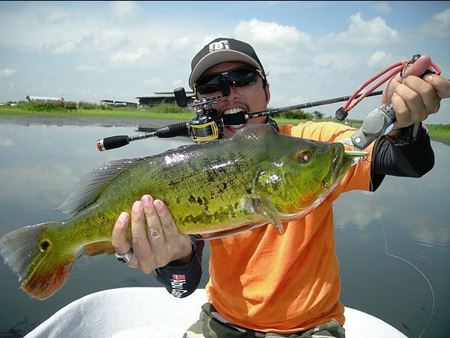 Picture for category Fish - Freshwater