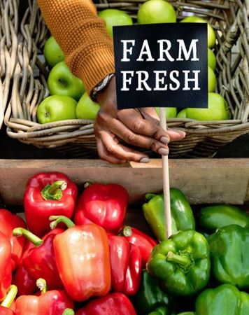 Picture for category Vegetables