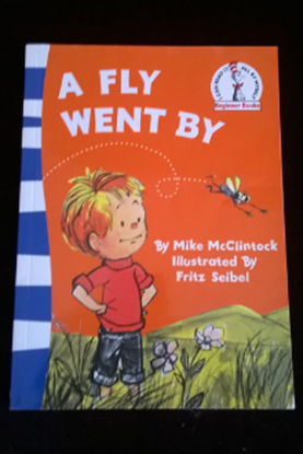 Picture of A Fly Went By