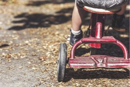 Picture for category Collectible Toys