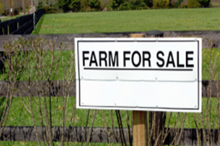 Picture for category Farms For Sale